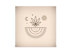 50 Key lock Box storage holder K04 Medical Cannabis Cultivation