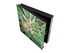 50 Keys Holder K04 Dank Purple haze kush medical cannabis