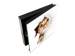 50 keys cabinet with Decorative front panel K02 Cat in paper