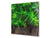 Protector antisalpicaduras – Panel de vidrio para cocina – BS01 Serie hierbas: Hierbas Y Especias 10