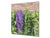 Elegante Hartglasrückwand - Glasrückwand für Küche BS01 Serie Kräuter: Herbs Spices 11