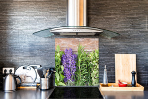 Elegante paraschizzi vetro temperato – Paraspruzzi cucina vetro – Pannello vetro BS01 Serie erbe:  Erbe e spezie 11