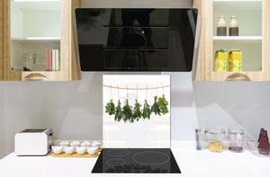 Elegante paraschizzi vetro temperato – Paraspruzzi cucina vetro – Pannello vetro BS01 Serie erbe:  Erbe appese 2