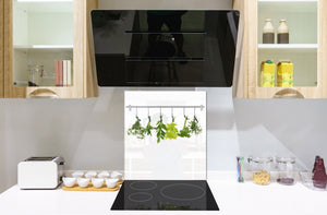 Elegante paraschizzi vetro temperato – Paraspruzzi cucina vetro – Pannello vetro BS01 Serie erbe:  Erbe appese 4