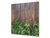 Elegante Hartglasrückwand - Glasrückwand für Küche BS01 Serie Kräuter: Wood Herbs