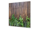 Protector antisalpicaduras – Panel de vidrio para cocina – BS01 Serie hierbas: Hierbas de madera