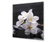 Unique Glass kitchen panel BS02 Stone Series: Flower On The Stone 1