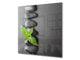 Unique Glass kitchen panel BS02 Stone Series: Leaves On The Stone