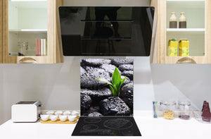 Einzigartiges Glas-Küchenpanel – Hartglas-Rückwand – Kunstdesign Glasaufkantung BS02 Serie Stein: Stone Water Drops 2