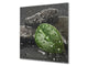 Pantalla anti-salpicaduras cocina – Frente de cocina de cristal templado – BS02 Serie Piedras: Gotas de agua sobre piedra 8