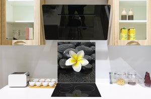 Unique Glass kitchen panel BS02 Stone Series: Flower On The Stone 3