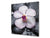 Pantalla anti-salpicaduras cocina – Frente de cocina de cristal templado – BS02 Serie Piedras: Gotas de agua de flores