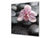 Originale pannello cucina vetro – Paraschizzi vetro – Pannello vetro artistico BS02 Serie pietre:  Fiore sulla pietra 4