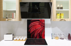 Glass kitchen backsplash – Photo backsplash BS03 Flower Series: Red Flower 1