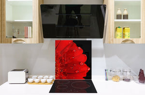 Glass kitchen backsplash – Photo backsplash BS03 Flower Series: Red Flower 2
