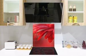Paraschizzi cucina vetro – Paraschizzi vetro temperato – Paraschizzi con foto BS03 Serie fiori : Fiore rosso 3