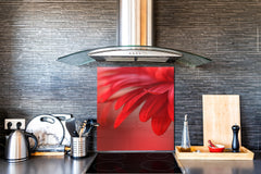 Glass kitchen backsplash – Photo backsplash BS03 Flower Series: Red Flower 3