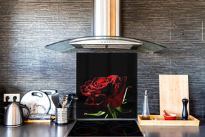 Glass kitchen backsplash – Photo backsplash BS03 Flower Series: Red Rose 1
