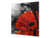 Antiprojections verre sécurité;  BS03 Série fleurs: Fleur rouge 6