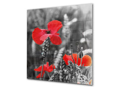 Glass kitchen backsplash – Photo backsplash BS03 Flower Series: Poppies Meadow Field