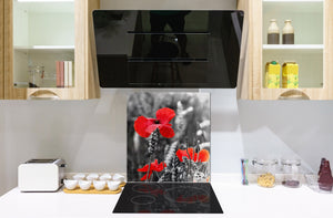 Paraschizzi cucina vetro – Paraschizzi vetro temperato – Paraschizzi con foto BS03 Serie fiori : Campo di papaveri prato