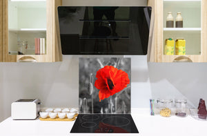 Paraschizzi cucina vetro – Paraschizzi vetro temperato – Paraschizzi con foto BS03 Serie fiori : Papavero fiore papavero