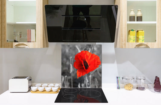 Glass kitchen backsplash – Photo backsplash BS03 Flower Series: Poppy Flower Poppy