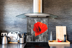 Paraschizzi cucina vetro – Paraschizzi vetro temperato – Paraschizzi con foto BS03 Serie fiori : Papavero fiore papavero