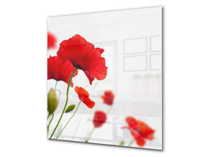 Glass kitchen backsplash – Photo backsplash BS03 Flower Series: Poppy On A White Background 1