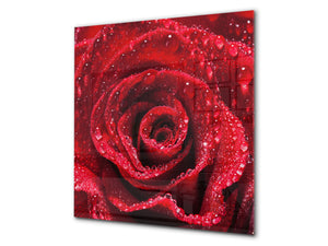 Glass kitchen backsplash – Photo backsplash BS03 Flower Series: Red Rose 2