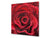 Antiprojections verre sécurité;  BS03 Série fleurs: Rose rouge 2