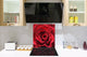 Protector antisalpicaduras baños y cocinas – BS03 Serie flores: Rosa roja 2