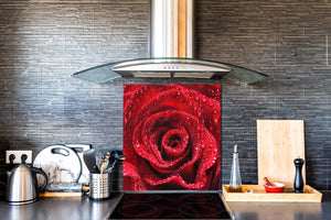 Protector antisalpicaduras baños y cocinas – BS03 Serie flores: Rosa roja 2