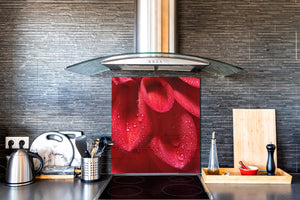 Glass kitchen backsplash – Photo backsplash BS03 Flower Series: Red Flower 7