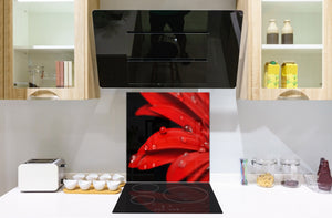 Glass kitchen backsplash – Photo backsplash BS03 Flower Series: Red Flower 8