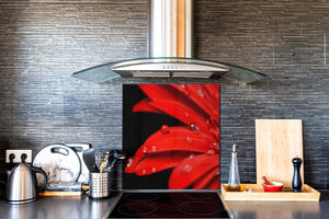 Glass kitchen backsplash – Photo backsplash BS03 Flower Series: Red Flower 8