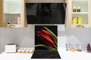Paraschizzi cucina vetro – Paraschizzi vetro temperato – Paraschizzi con foto BS03 Serie fiori : Tulipano rosso