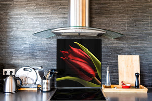 Paraschizzi cucina vetro – Paraschizzi vetro temperato – Paraschizzi con foto BS03 Serie fiori : Tulipano rosso