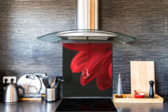 Glass kitchen backsplash – Photo backsplash BS03 Flower Series: Flower Water Drop