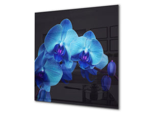 Protector antisalpicaduras baños y cocinas – BS03 Serie flores: Orquídea Azul 1