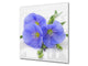 Protector antisalpicaduras baños y cocinas – BS03 Serie flores: Flor azul 1