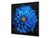 Paraschizzi vetro rinforzato – Paraspruzzi artistico stampato su vetro BS04 Serie soffioni e fiori  : Un fiore blu 3