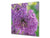 Paraschizzi vetro rinforzato – Paraspruzzi artistico stampato su vetro BS04 Serie soffioni e fiori  : Fiore Di Aglio 1