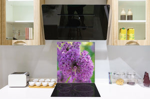 Gehärtete Glasrückwand – Glasrückwand mit aufgedrucktem kunstvollen Design BS04 Serie Löwenzahn und Blumen:  Flower Of Garlic 1