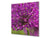 Gehärtete Glasrückwand – Glasrückwand mit aufgedrucktem kunstvollen Design BS04 Serie Löwenzahn und Blumen:  Flower Of Garlic 2