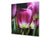 Protector contra salpicaduras – BS04 Serie Diente de Leon y flores  Tulipán púrpura