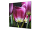 Toughened glass backsplash BS 04 Dandelion and flowers series: Purple Tulip