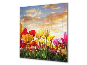 Toughened glass backsplash BS 04 Dandelion and flowers series: Meadow Of Tulips