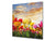 Gehärtete Glasrückwand – Glasrückwand mit aufgedrucktem kunstvollen Design BS04 Serie Löwenzahn und Blumen:  Meadow Of Tulips