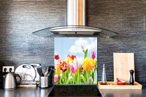 Gehärtete Glasrückwand – Glasrückwand mit aufgedrucktem kunstvollen Design BS04 Serie Löwenzahn und Blumen:  Tulips In The Meadow